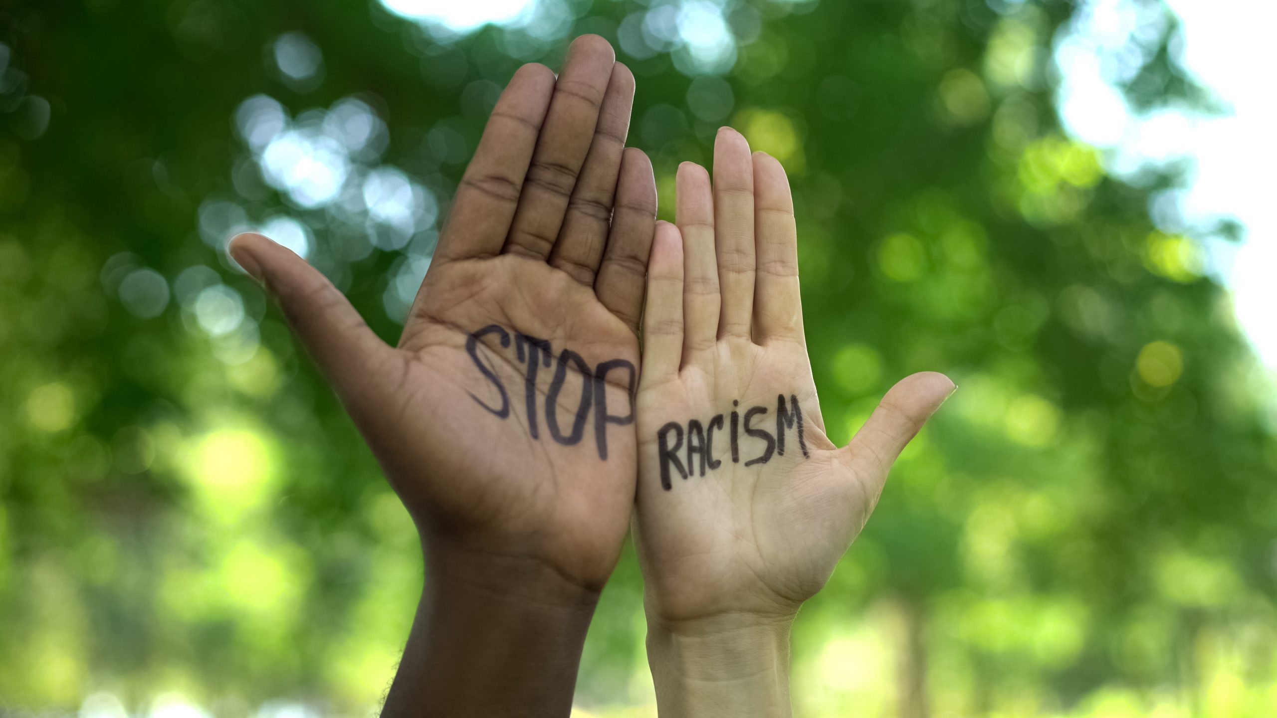 Anti-racism training: supporting South Sudanese renters